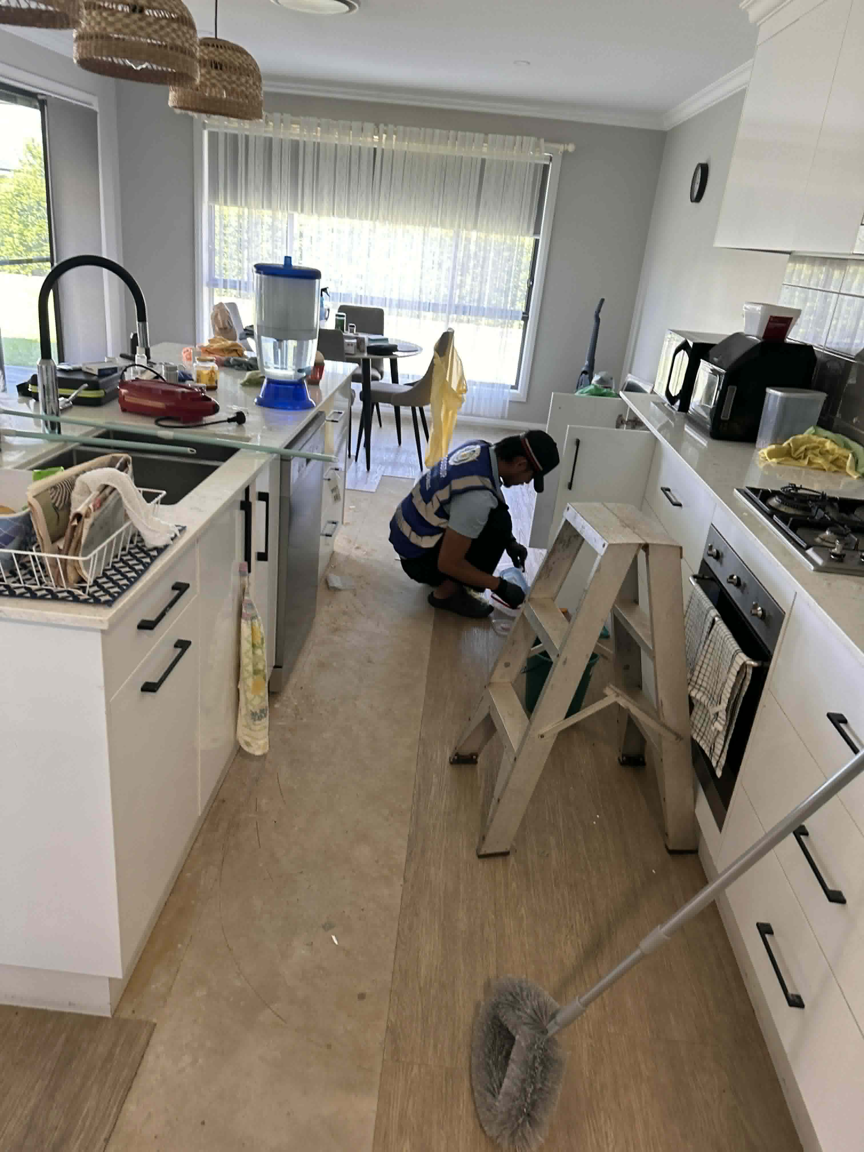 Domestic Assistance
