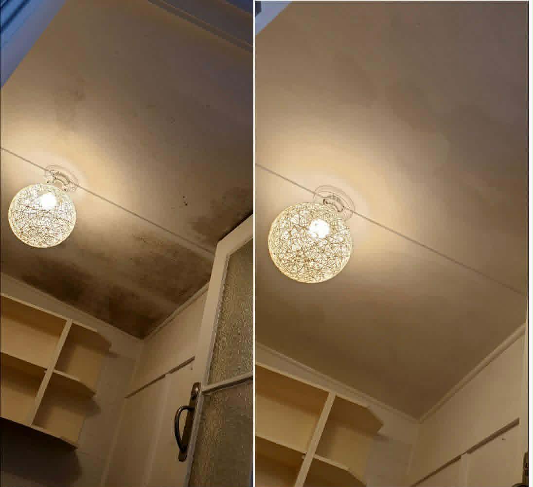 Mould Clean